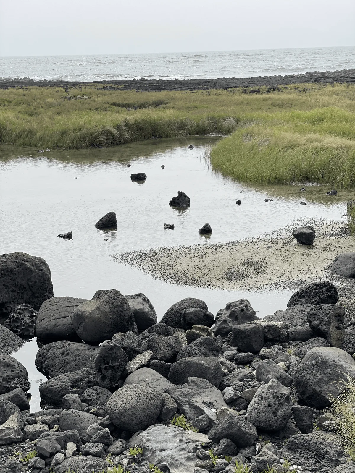 Basalt rocks along a tidal shoreline